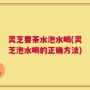 灵芝要茶水泡水喝(灵芝泡水喝的正确方法)