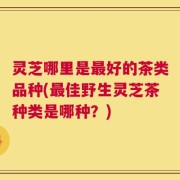 灵芝哪里是最好的茶类品种(最佳野生灵芝茶种类是哪种？)