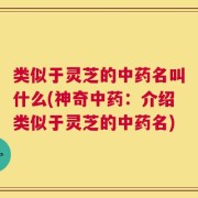 类似于灵芝的中药名叫什么(神奇中药：介绍类似于灵芝的中药名)