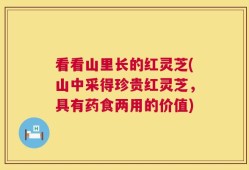 看看山里长的红灵芝(山中采得珍贵红灵芝，具有药食两用的价值)