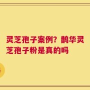 灵芝孢子案例？鹊华灵芝孢子粉是真的吗