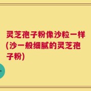 灵芝孢子粉像沙粒一样(沙一般细腻的灵芝孢子粉)