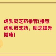 虎乳灵芝药推荐(推荐虎乳灵芝药，助您提升健康)