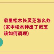 家里松木长灵芝怎么办(家中松木种出了灵芝该如何调理)