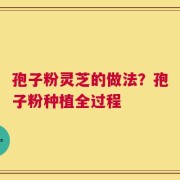 孢子粉灵芝的做法？孢子粉种植全过程