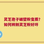 灵芝孢子破壁粉变质？如何辨别灵芝粉好坏