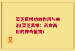 灵芝葛根功效作用与主治(灵芝葛根：药食两用的神奇植物)