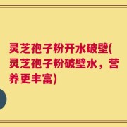 灵芝孢子粉开水破壁(灵芝孢子粉破壁水，营养更丰富)
