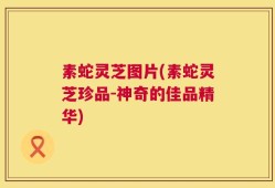 素蛇灵芝图片(素蛇灵芝珍品-神奇的佳品精华)