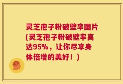 灵芝孢子粉破壁率图片(灵芝孢子粉破壁率高达95%，让你尽享身体倍增的美好！)