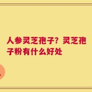 人参灵芝孢子？灵芝孢子粉有什么好处