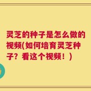 灵芝的种子是怎么做的视频(如何培育灵芝种子？看这个视频！)