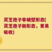 灵芝孢子非破壁形态(灵芝孢子新形态，更易吸收)