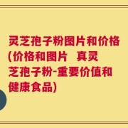 灵芝孢子粉图片和价格(价格和图片  真灵芝孢子粉-重要价值和健康食品)
