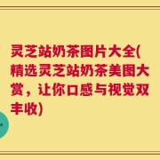 灵芝站奶茶图片大全(精选灵芝站奶茶美图大赏，让你口感与视觉双丰收)