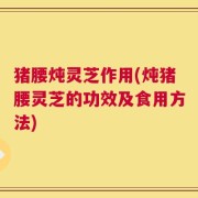 猪腰炖灵芝作用(炖猪腰灵芝的功效及食用方法)
