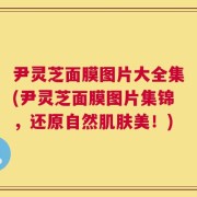 尹灵芝面膜图片大全集(尹灵芝面膜图片集锦，还原自然肌肤美！)