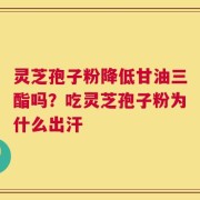 灵芝孢子粉降低甘油三酯吗？吃灵芝孢子粉为什么出汗