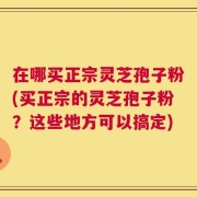 在哪买正宗灵芝孢子粉(买正宗的灵芝孢子粉？这些地方可以搞定)