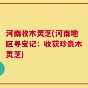 河南收木灵芝(河南地区寻宝记：收获珍贵木灵芝)