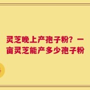 灵芝晚上产孢子粉？一亩灵芝能产多少孢子粉