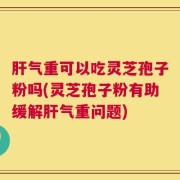 肝气重可以吃灵芝孢子粉吗(灵芝孢子粉有助缓解肝气重问题)
