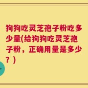狗狗吃灵芝孢子粉吃多少量(给狗狗吃灵芝孢子粉，正确用量是多少？)