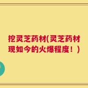 挖灵芝药材(灵芝药材现如今的火爆程度！)