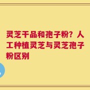 灵芝干品和孢子粉？人工种植灵芝与灵芝孢子粉区别