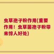 虫草孢子粉作用(重要作用！虫草菌孢子粉带来惊人好处)