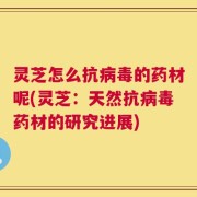 灵芝怎么抗病毒的药材呢(灵芝：天然抗病毒药材的研究进展)