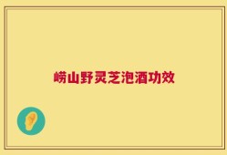 崂山野灵芝泡酒功效
