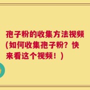 孢子粉的收集方法视频(如何收集孢子粉？快来看这个视频！)