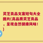 灵芝贡品文案短句大全图片(高品质灵芝贡品，呈现自然健康风味！)