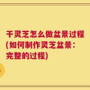 干灵芝怎么做盆景过程(如何制作灵芝盆景：完整的过程)