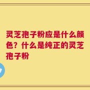 灵芝孢子粉应是什么颜色？什么是纯正的灵芝孢子粉