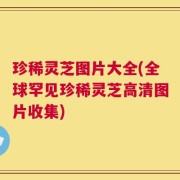 珍稀灵芝图片大全(全球罕见珍稀灵芝高清图片收集)
