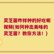 灵芝菌咋样种的好吃呢视频(如何种出美味的灵芝菌？教你方法！)