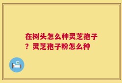 在树头怎么种灵芝孢子？灵芝孢子粉怎么种