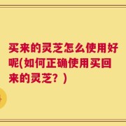 买来的灵芝怎么使用好呢(如何正确使用买回来的灵芝？)