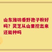 山东潍坊香野孢子粉好吗？灵芝从山里挖出来还能种吗
