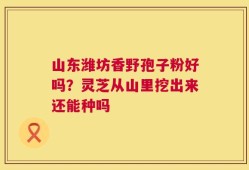 山东潍坊香野孢子粉好吗？灵芝从山里挖出来还能种吗