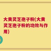 大黄灵芝孢子粉(大黄灵芝孢子粉的功效与作用)