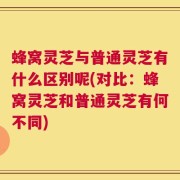 蜂窝灵芝与普通灵芝有什么区别呢(对比：蜂窝灵芝和普通灵芝有何不同)