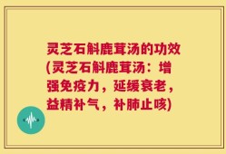 灵芝石斛鹿茸汤的功效(灵芝石斛鹿茸汤：增强免疫力，延缓衰老，益精补气，补肺止咳)