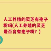 人工养殖的灵芝有孢子粉吗(人工养殖的灵芝是否含有孢子粉？)