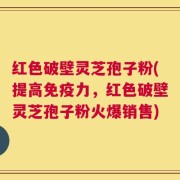 红色破壁灵芝孢子粉(提高免疫力，红色破壁灵芝孢子粉火爆销售)
