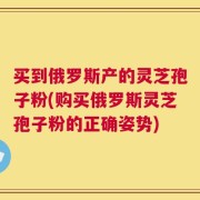 买到俄罗斯产的灵芝孢子粉(购买俄罗斯灵芝孢子粉的正确姿势)