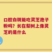 口腔白斑能吃灵芝孢子粉吗？长在梨树上像灵芝的是什么