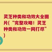 灵芝种类和功效大全图片(“完整攻略！灵芝种类和功效一网打尽”)